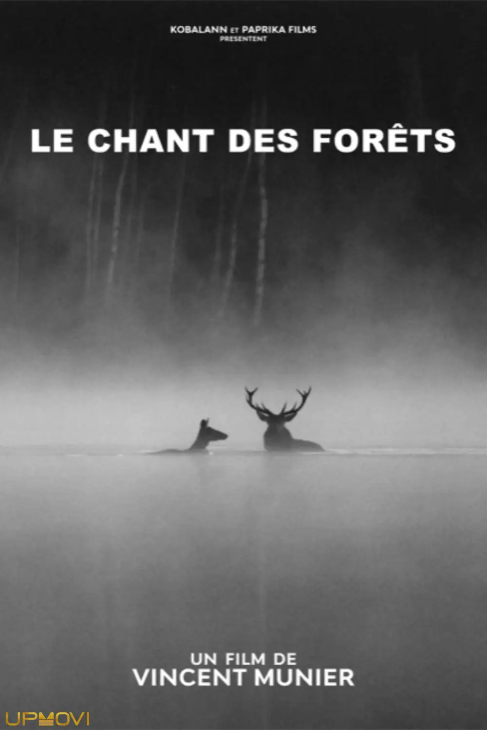 Le chant des forêts