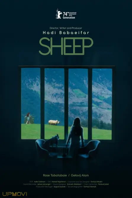 Sheep