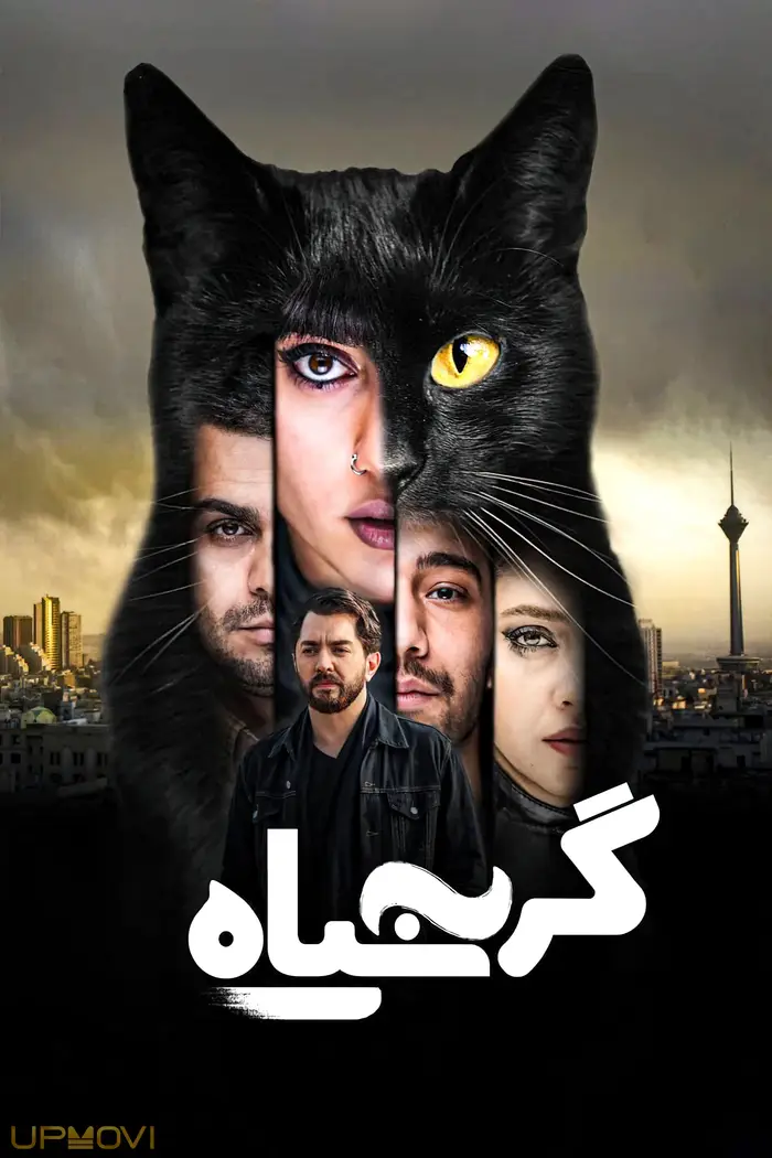 گربه سیاه