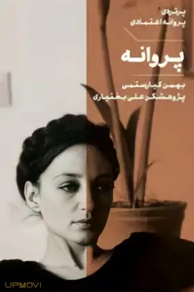 پروانه