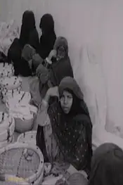 بازار پنجشنبه میناب