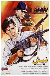 گاز