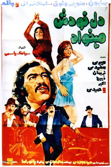 دل می‌خواهد خود را
