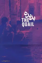 The Quail: The Tale of a Boy Who Asks