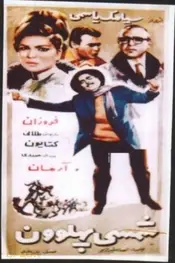 قهرمان شمسی