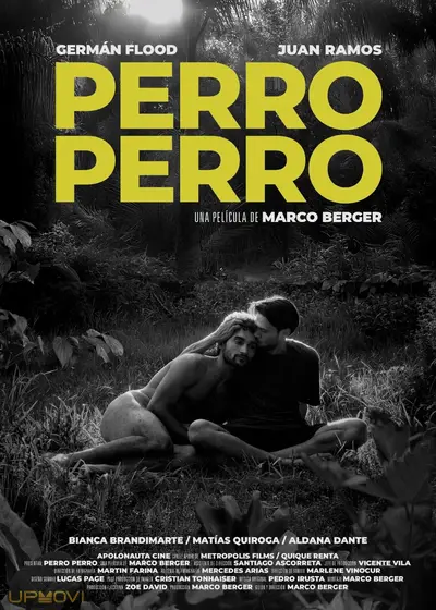 Perro perro