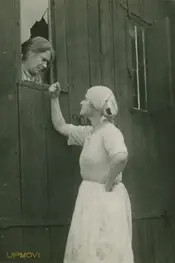 همسلاوینور