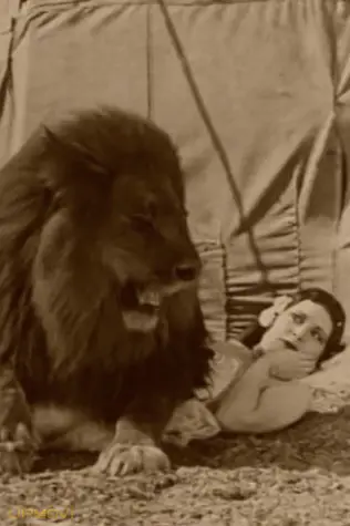 سیرک امروز