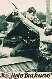 باکرو پرنده