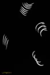 Dancing Lines