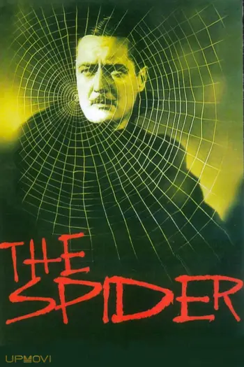 The Spider