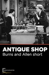 The Antique Shop