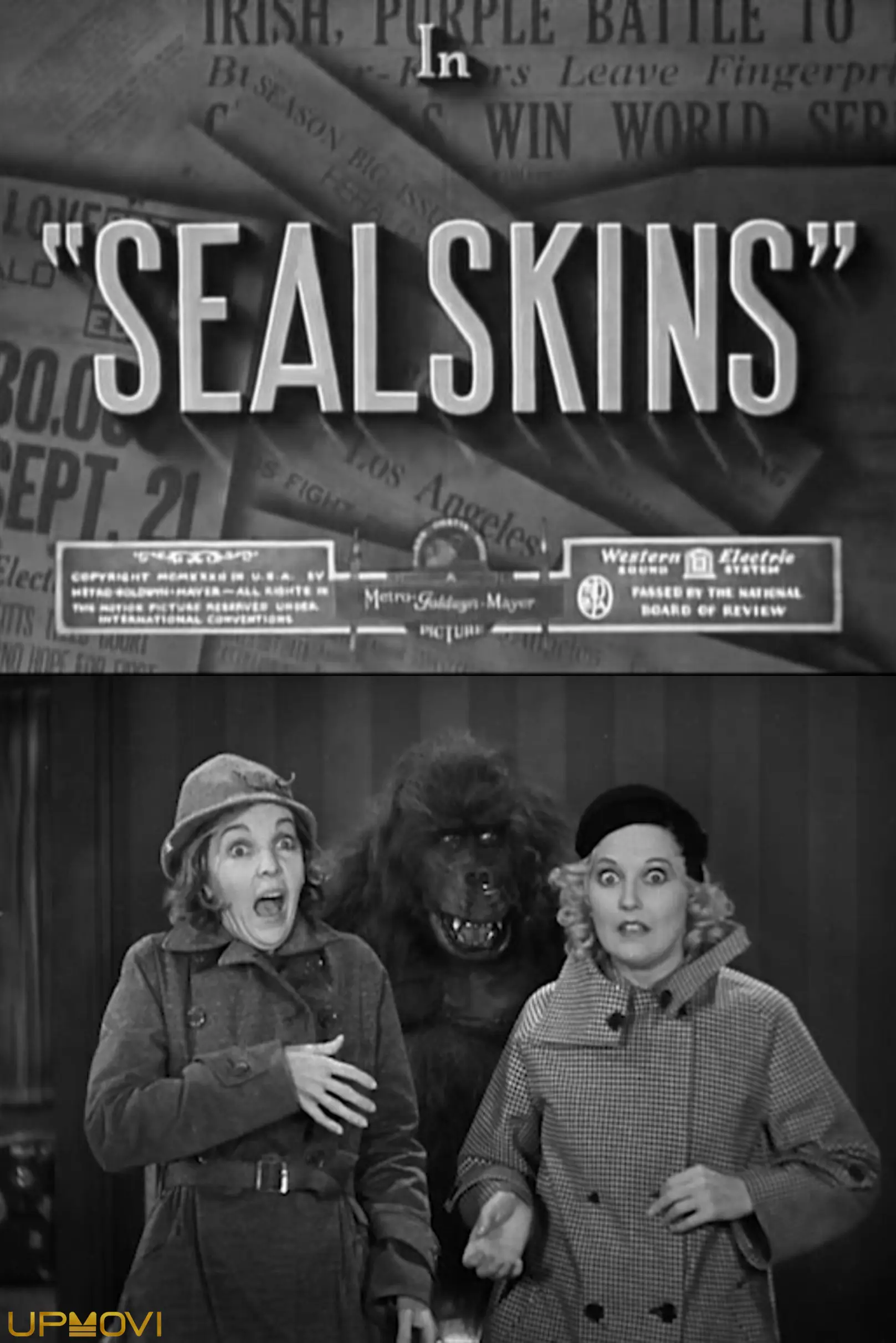 Sealskins