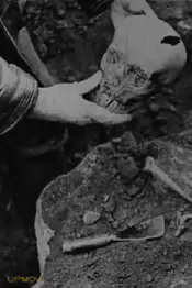 Story of the Unknown Soldier