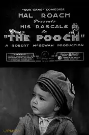 The Pooch
