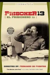 Prisoner 13