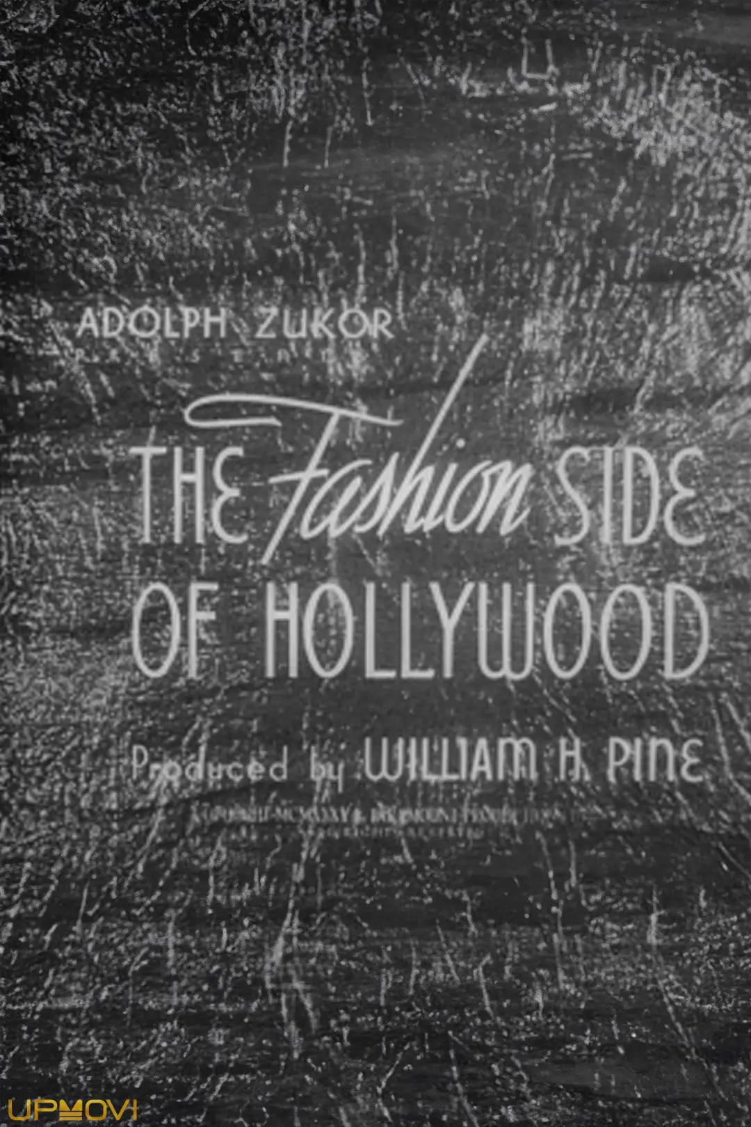 The Fashion Side of Hollywood