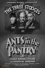 Ants in the Pantry