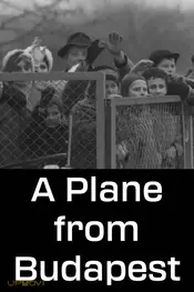 A Plane from Budapest