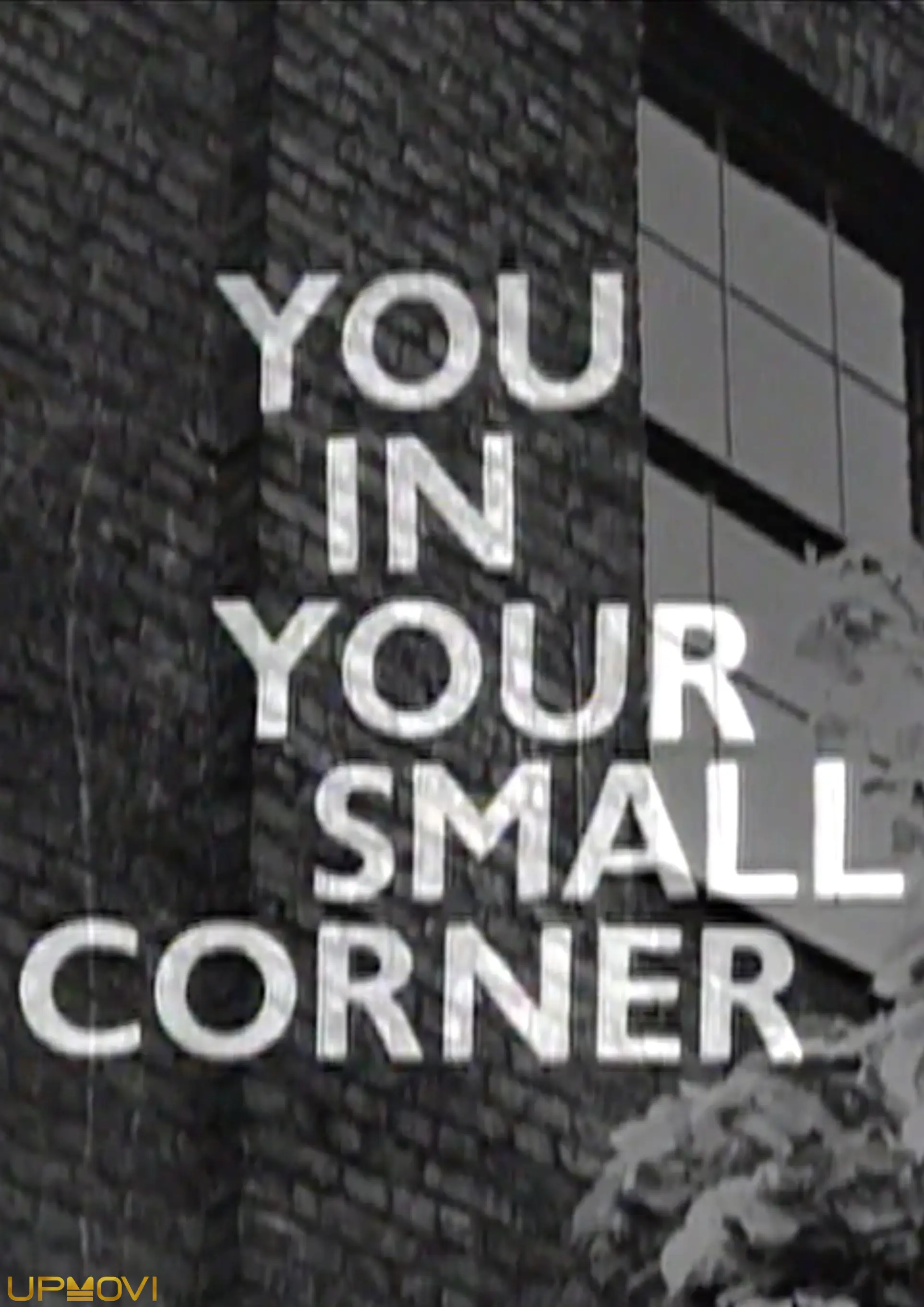 You in Your Small Corner