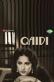 Qaidi