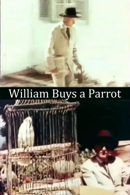 William Buys a Parrot