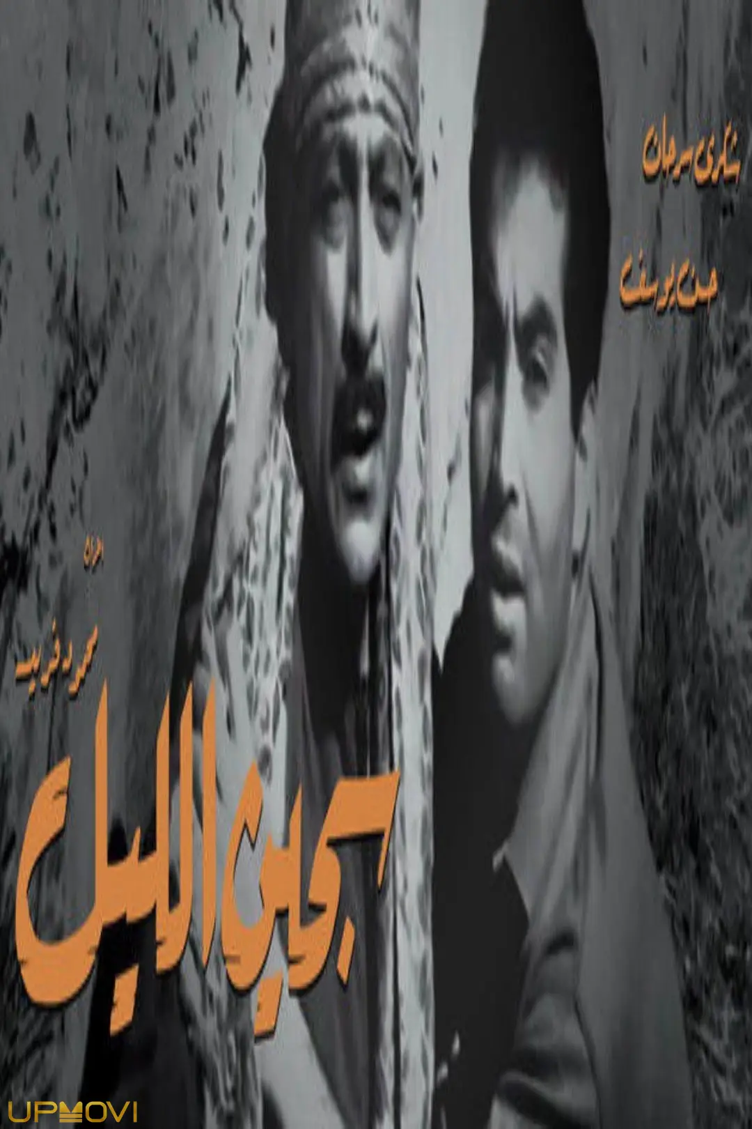 زندانی شب
