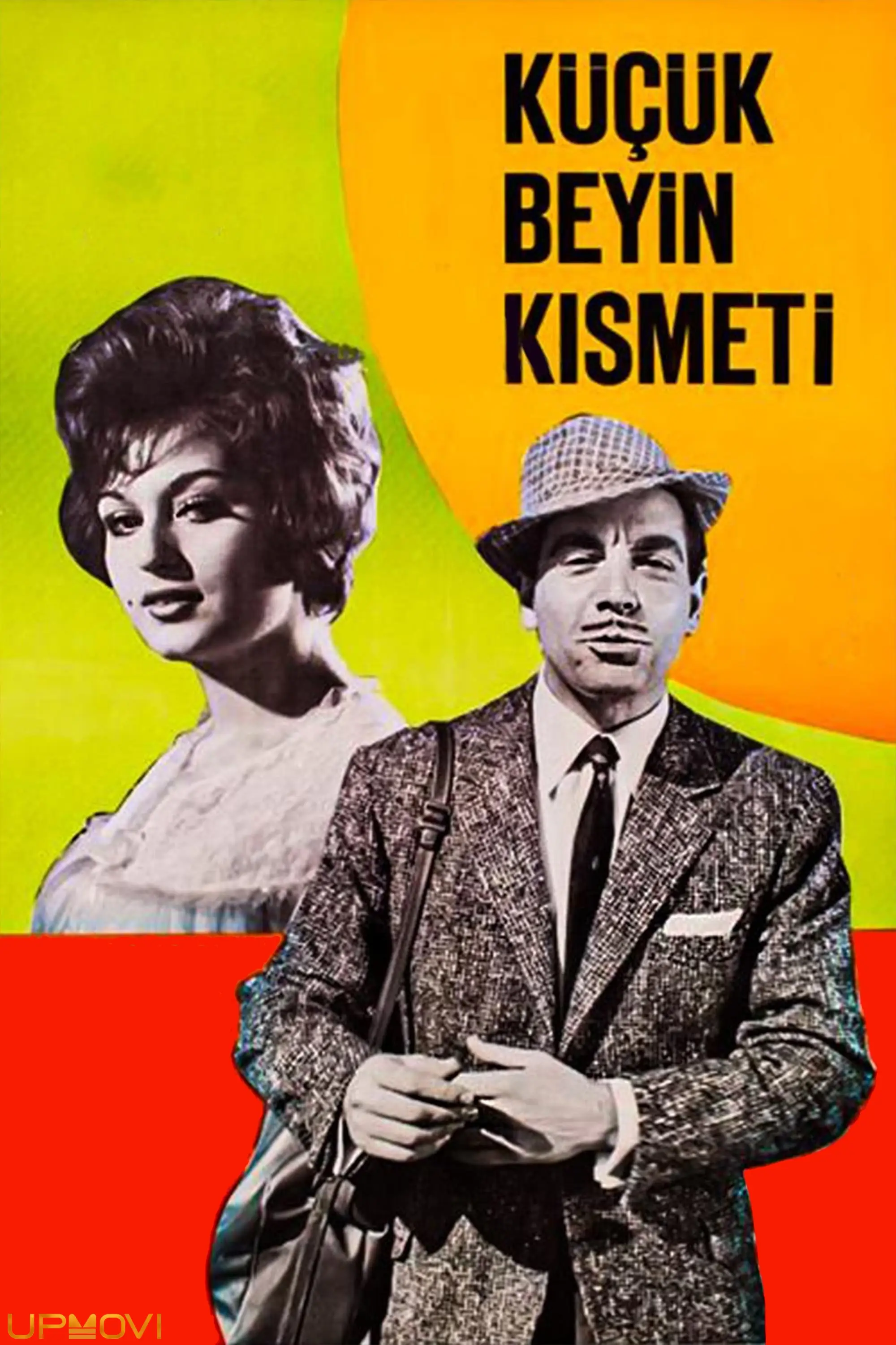 Küçük Beyin Kısmeti