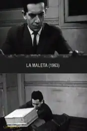 The Suitcase
