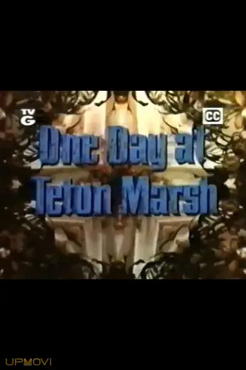 One Day at Teton Marsh