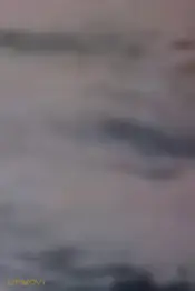 ترانه ۸