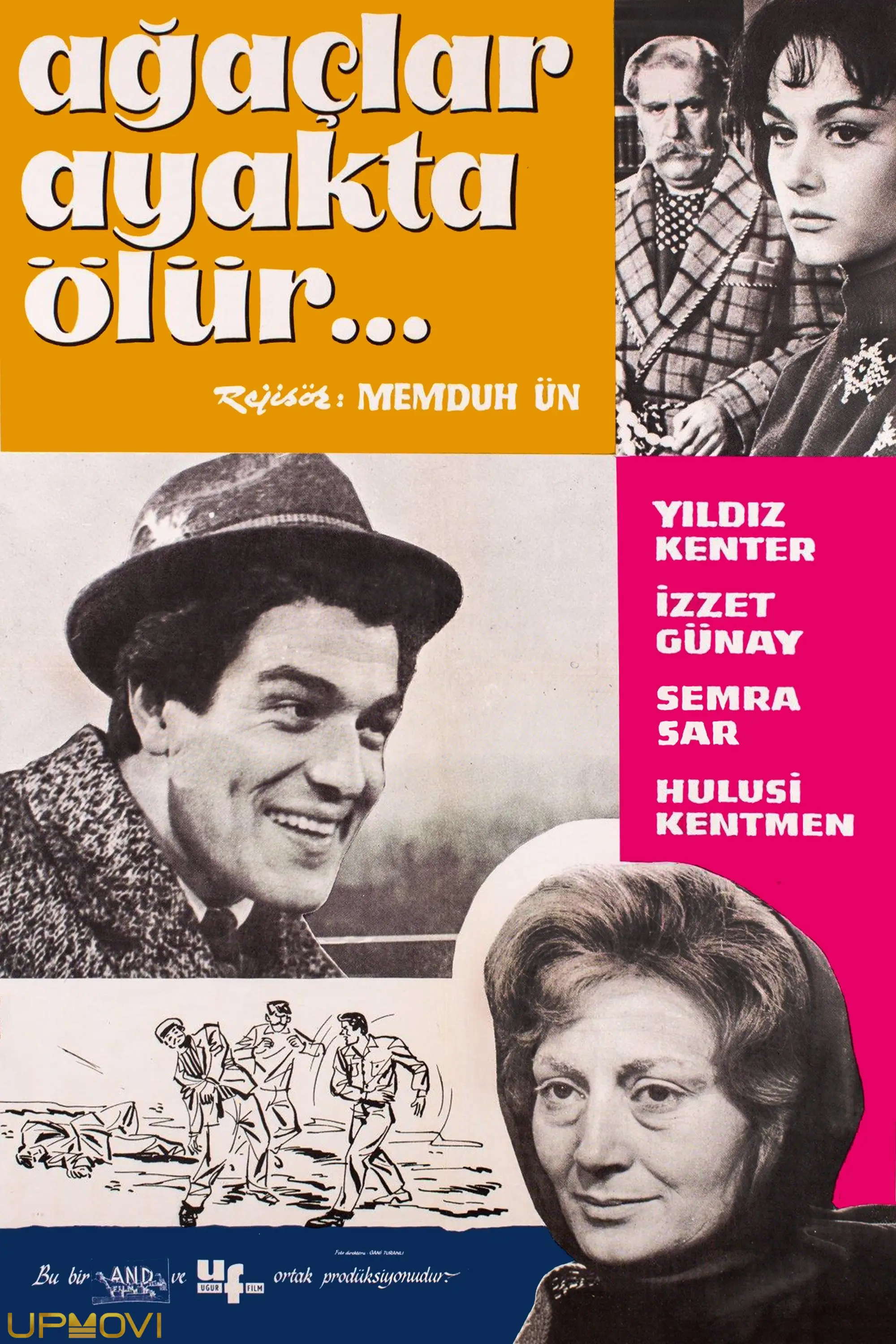 Ağaçlar Ayakta Ölür