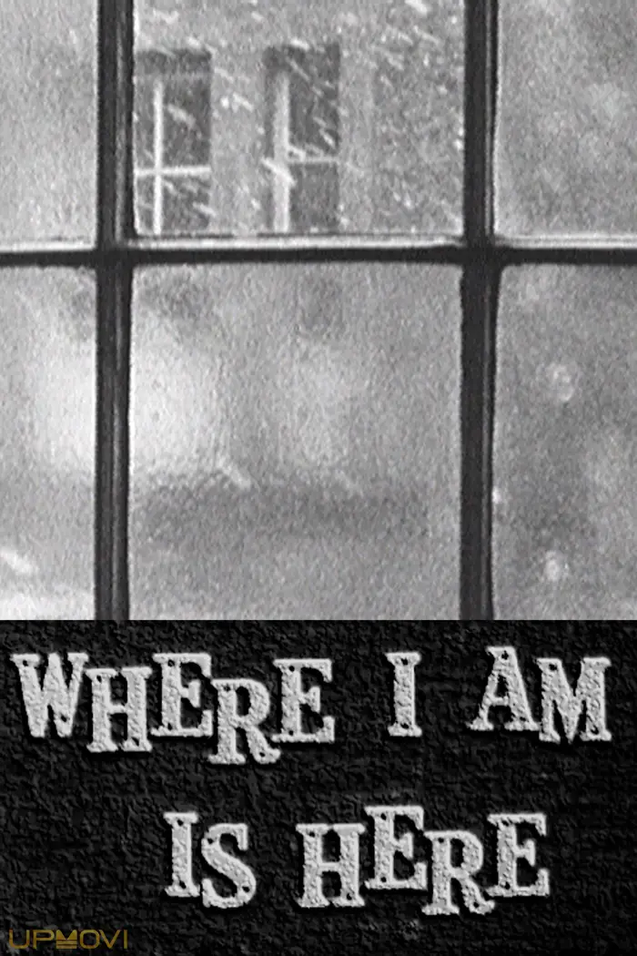 Where I Am Is Here