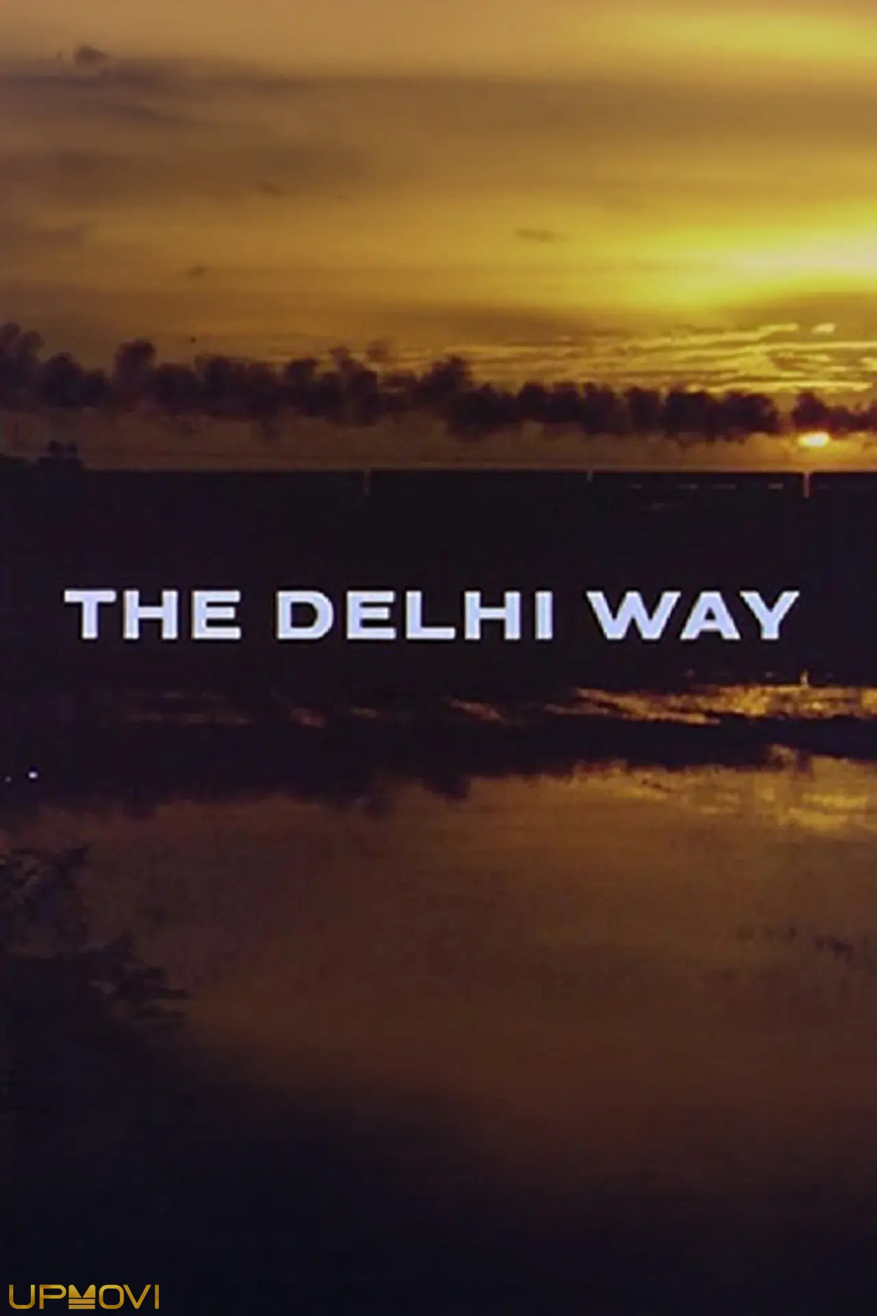 The Delhi Way