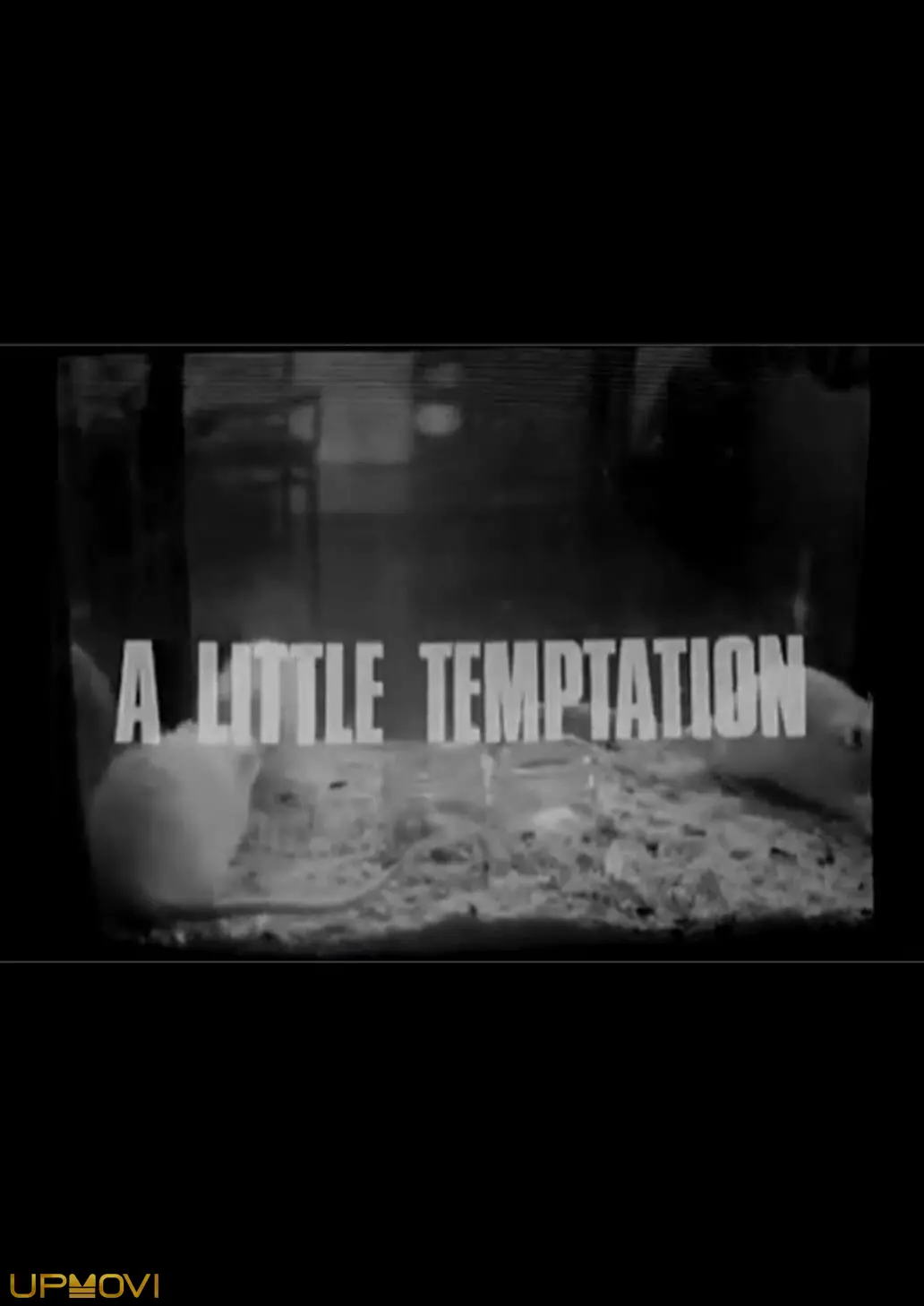 A Little Temptation