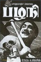 پازانی