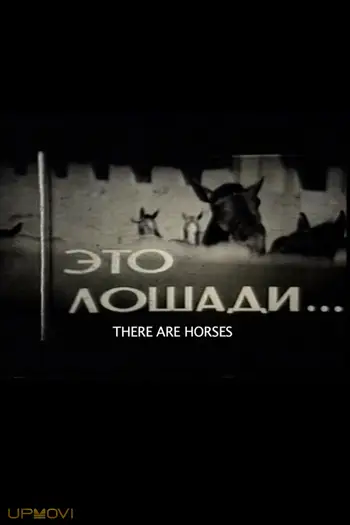There Are Horses