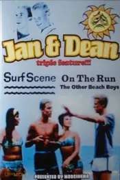 Jan & Dean: On the Run