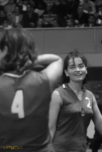 Volleyball
