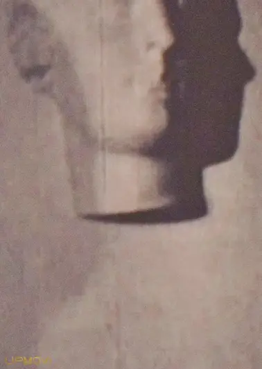 من سایه را دیدم