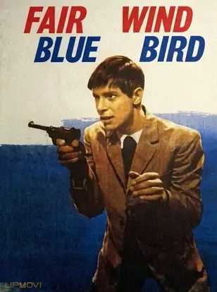 Good Wind, 'Blue Bird'!