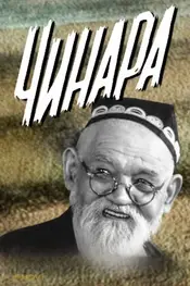 درخت چنار قدیمی