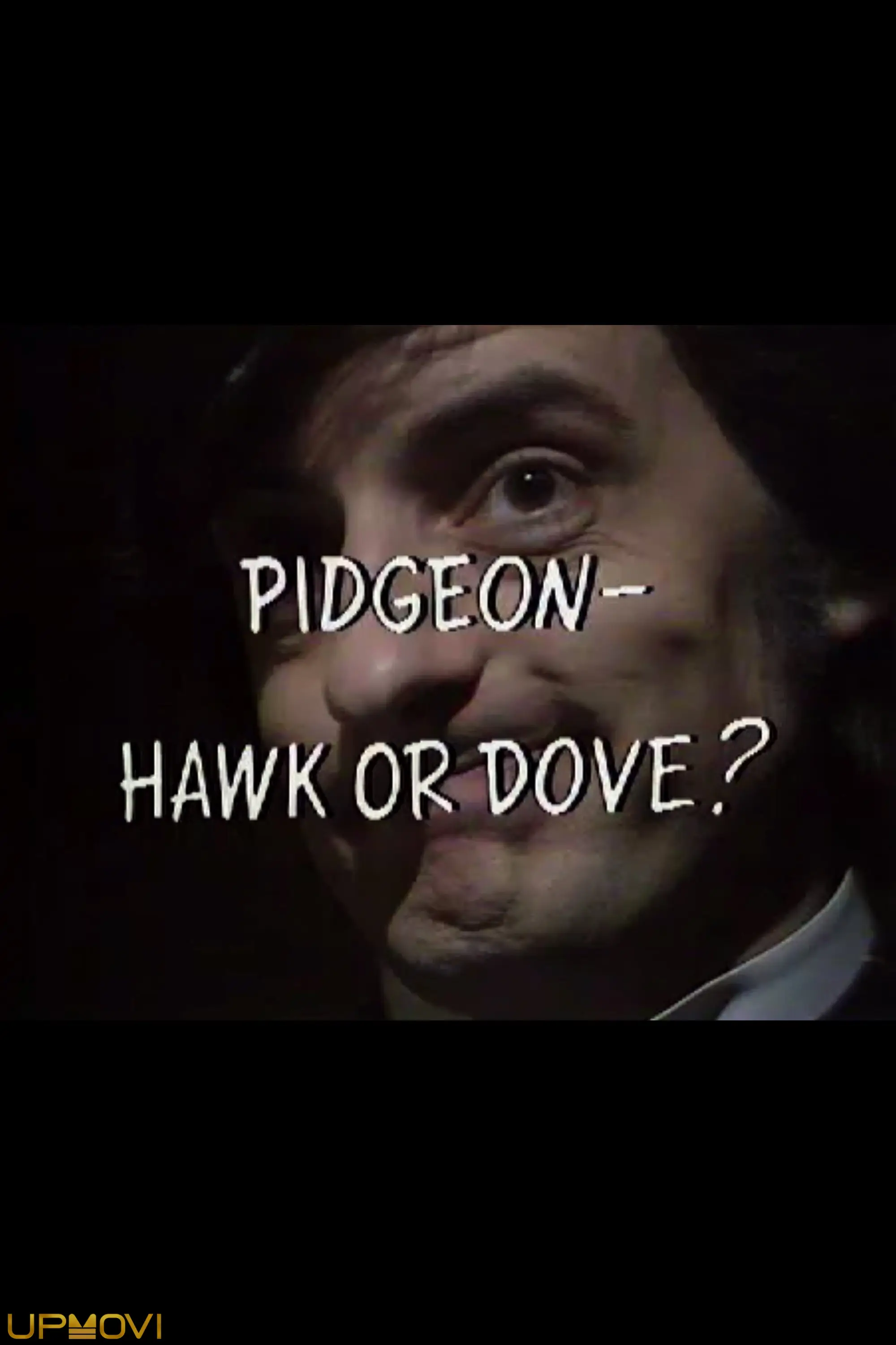 Pidgeon – Hawk or Dove?