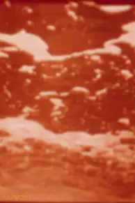 Aquarien
