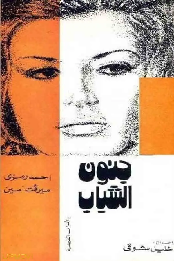جنون جوانی