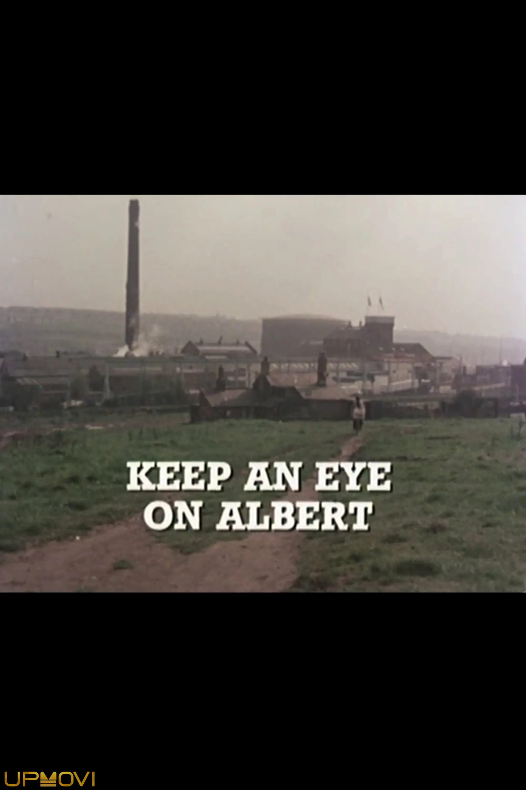 Keep an Eye on Albert