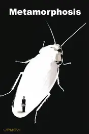 Metamorphosis