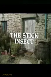 The Stick Insect