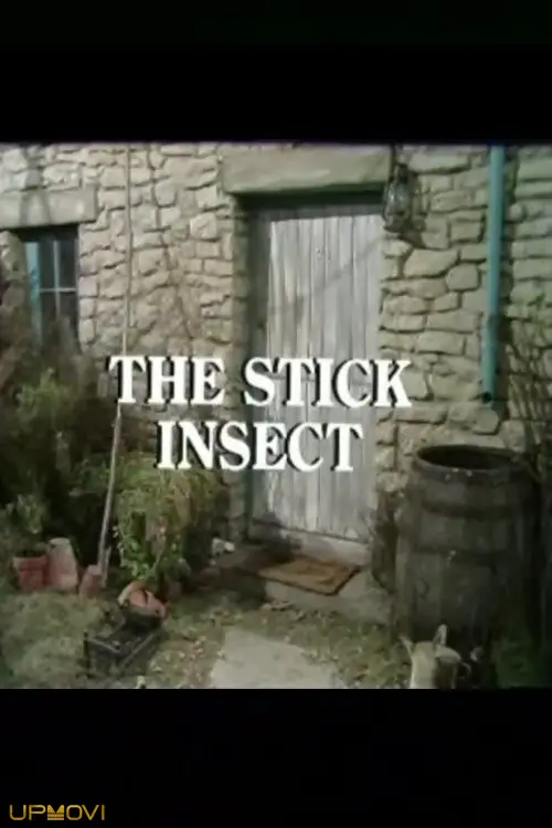 The Stick Insect