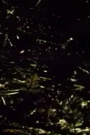 Short Films 1975: #9 (Forest Love Scene)